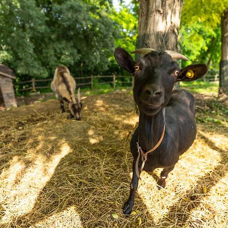 פונטי סול מינצ'יו Agriturismo Colle Dei Pivi מראה חיצוני תמונה