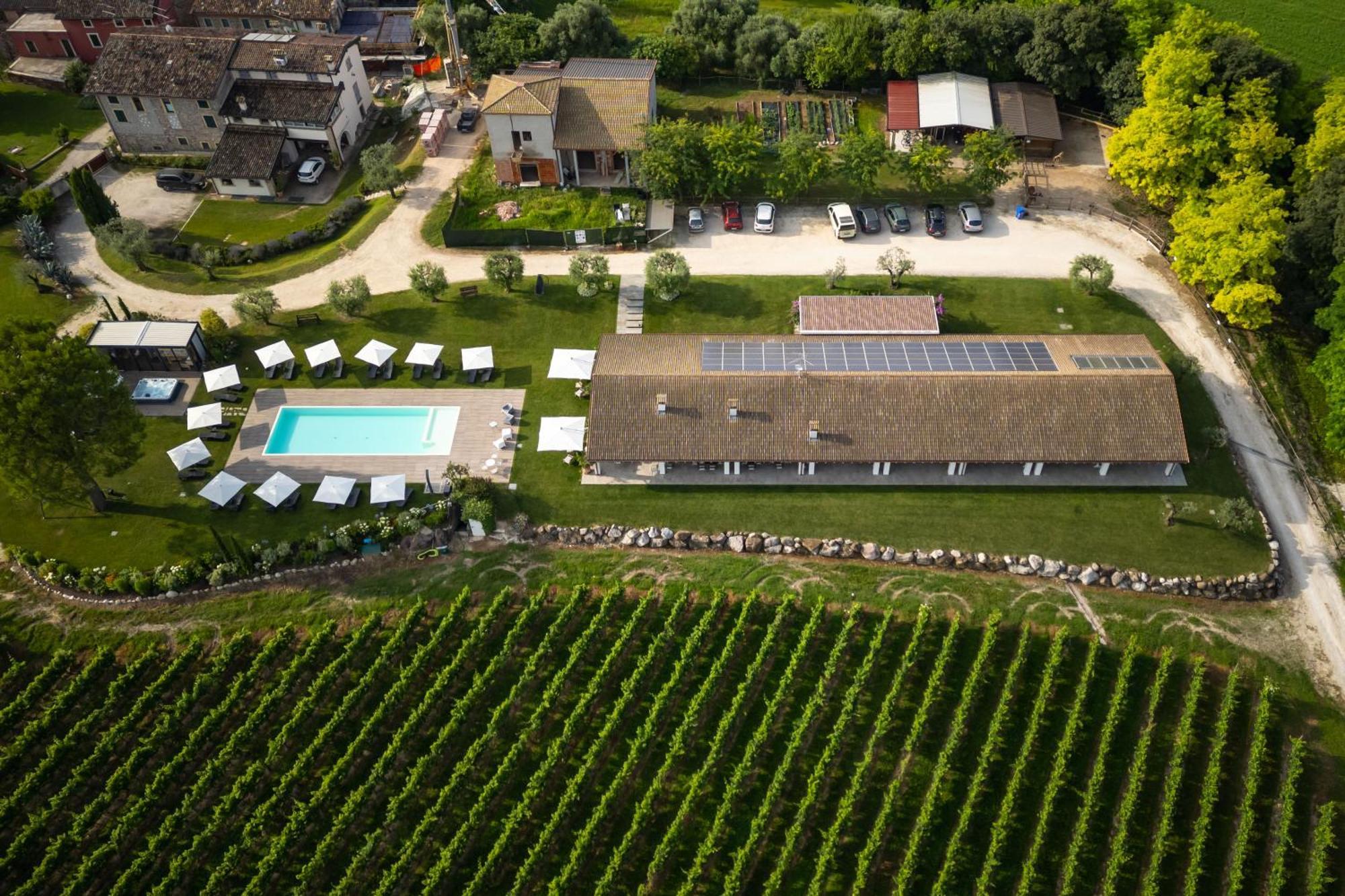 פונטי סול מינצ'יו Agriturismo Colle Dei Pivi מראה חיצוני תמונה
